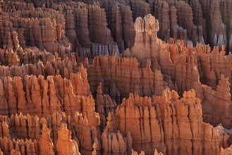 View of Bryce Amphitheater from Inspiration Point