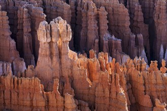 View of Bryce Amphitheater from Inspiration Point