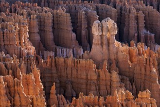 View of Bryce Amphitheater from Inspiration Point