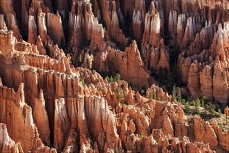 View of Bryce Amphitheater from Inspiration Point