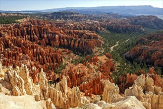 View of Bryce Amphitheater from Bryce Point
