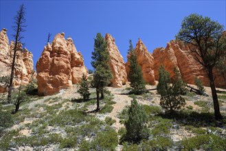 Coloured rock formations