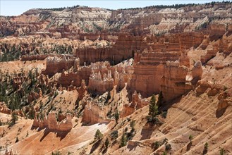 View of coloured rock formations from Queens Garden Trail