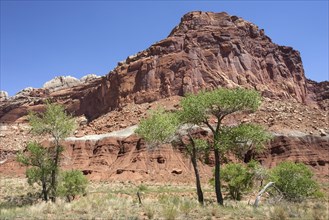 Landscape and rock formations at Fruita