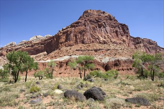 Landscape and rock formations at Fruita
