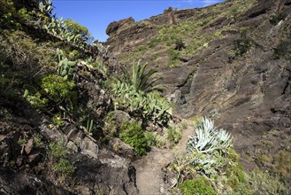 Hiking trail through the volcanic rock