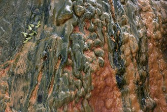Colored mineral deposits in a thermal spring in Cilaos Cirque de Cilaos