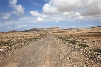 Dirt road and desert-like landscape with clouds in Tindaya