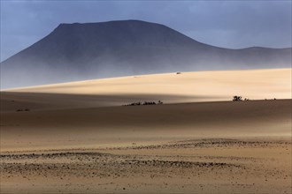 Sandstorm in the sand dunes