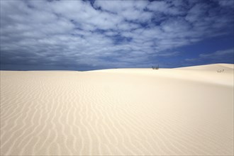 Sand dunes under blue sky with clouds