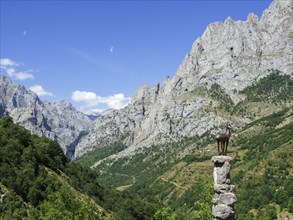 Mirador del Tombo