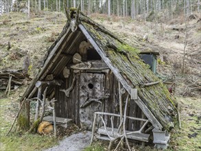 Quaint woodcutter's hut in the forest