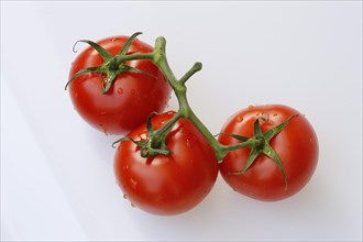 Vine tomatoes