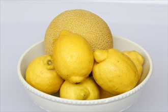 Lemons and cantaloupe melon in fruit bowl