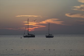 Two sailboats at sea at sunset