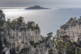 Massif des Calanques, Marseille