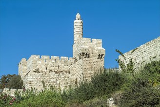 Tower of David