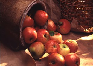 Red apples falling out of a clay pot