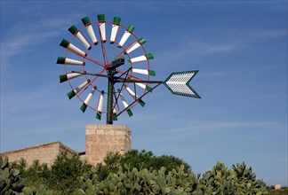 Windmill with cacti
