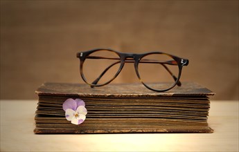 Old book with reading glasses and a horned violet