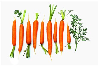 Carrots against a white background