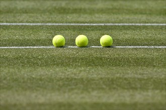 Tennis balls on lawn