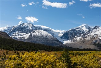 View from Highway Icefields Parkway