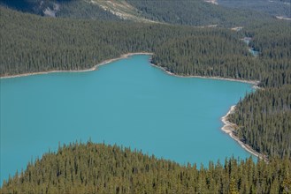 Turquoise glacier Peyto Lake