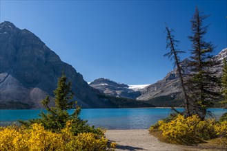 Glacial lake Bow Lake