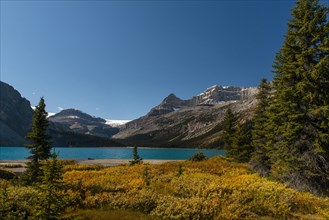 Glacial lake Bow Lake