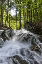 Waterfall in the Dr. Vogelgesang gorge at the Trattenbach