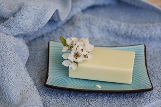 Soap piece with flower in soap dish