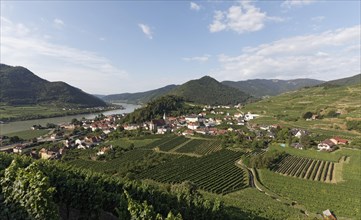 View over vineyards to Spitz an der Donau