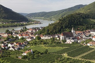 View over vineyards to Spitz an der Donau