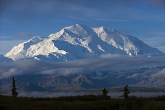 Snowy Mount McKinley