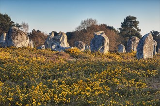 Alignments of standing stones