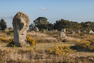 Carnac standing stones or alignments