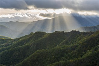 Rays of light on the forests in the Apennines after a storm