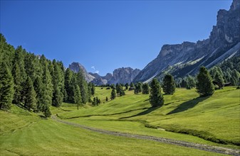 Odle mountain range in summer with Mt Stevia and the peaks of La Piza and Jela