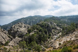 Mountainous landscape