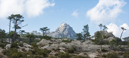 Walking path to Piscia di Gallo