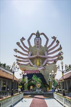 Goddess AvalokiteÅ›vara