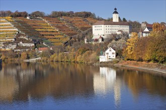 Horneck Castle and Neckar river