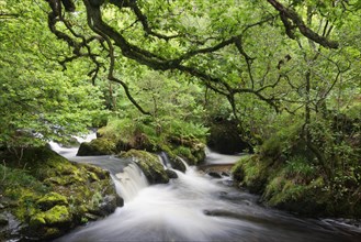 River Aira