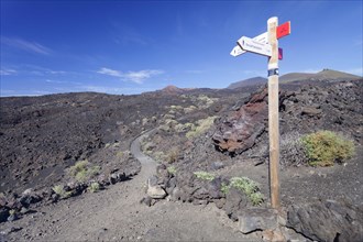 Trail Ruta de los Volcanes