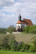 Pilgrimage Church of Maria im Weingarten