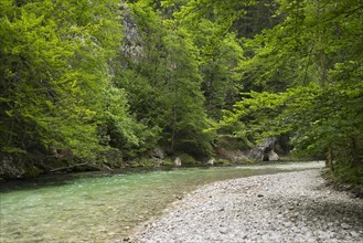 River Schwarza in the Hollental valley