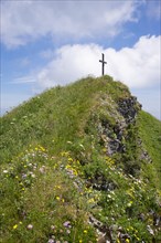 Summit cross and mountain flowers on Hochgern