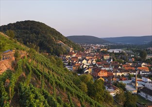 Vineyard on Schlossberg or Castle Hill