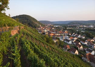 Vineyard on Schlossberg or Castle Hill